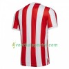 Stoke City Thuis Shirt 2018-19